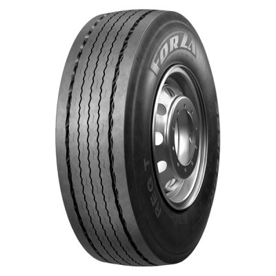 ���� Forza Reg T